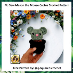 No Sew Mason the Mouse Cactus Crochet Pattern Guide