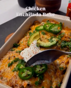 Protein-Packed Chicken Enchilada Delight