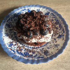 Protein-Packed Chocolate Blueberry Delight