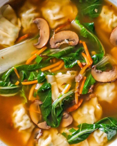 Quick Wonton Veggie Delight Soup