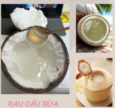 Rau Câu Dừa Mát Lạnh – Thơm Ngọt Ngào Từ Thiên Nhiên