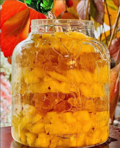 Rượu Dứa Ngọt Ngào Hương Vị Nhiệt Đới Thơm Lừng