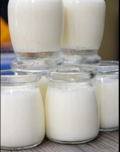 Sữa Chua Dẻo Milo - Hương Vị Thơm Ngon