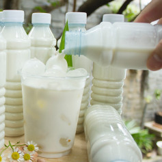 Sữa Đậu Phộng Lá Dứa - Hương Vị Ngọt Ngào, Dinh Dưỡng