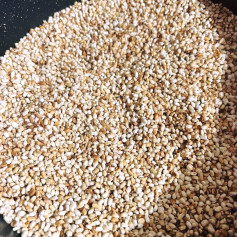 Sữa Gạo Rang Thơm Ngon, Béo Ngậy, Đậm Đà