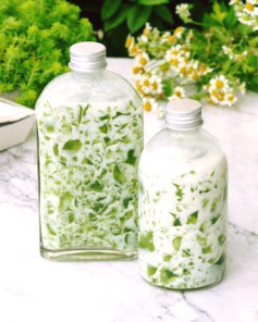 Thạch Lá Dứa Sữa Cốt Dừa Mát Lạnh Giải Nhiệt