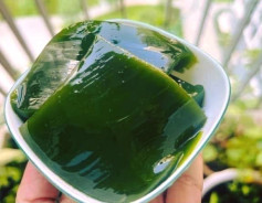 Thạch Sương Sâm Xanh Mát Lạnh Giải Nhiệt Ngày Hè