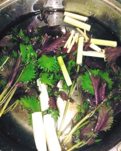 Trà Sả Gừng Tía Tô Giải Cảm Tăng Sức Đề Kháng