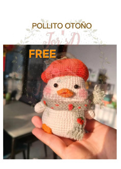 Traducción de Chino, Amigurumi Pollito Otoño