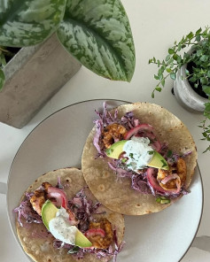 Zesty Shrimp Tacos with Creamy Cilantro Slaw