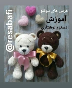 آموزش خرس های دوقلو