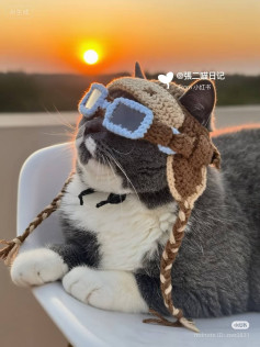 Cat in Crochet Aviator Hat Enjoys a Sunset View
