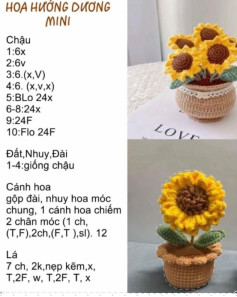 chart móc hoa hướng dương, hoa cúc họa mi chậu hoa tulip