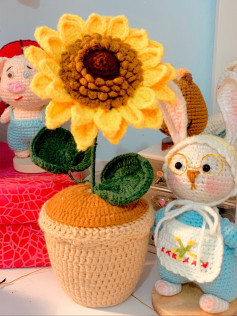 Chart móc hướng dẫn móc len hoa hướng dương