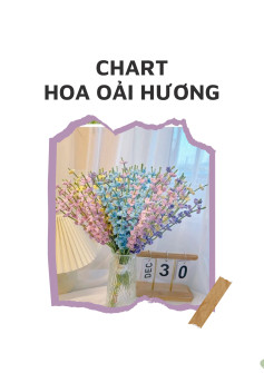 Chart móc len hoa oải hương đầy màu sắc cho người mới