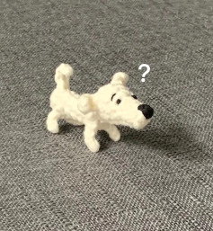 Chú chó len nhỏ nhắn đáng yêu đang thắc mắc điều gì?