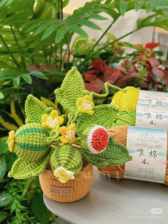 Hướng dẫn móc len chậu cây dưa hấu trang trí độc đáo và dễ thương