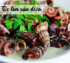 Ốc Len Dừa Thơm Ngon Vị Quê
