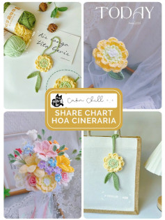 Share chart hoa Cúc Lọ Lem (Cineraria)