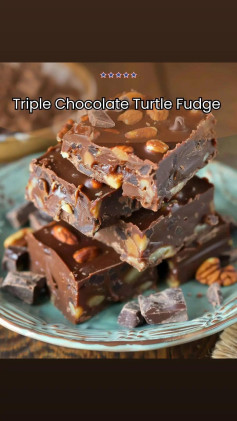 Turtle Fudge