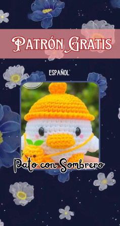 Txapeladun Ahate Maitagarria, Eskulanetarako Patroi Ederra