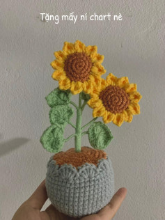 Chart móc len hoa hướng dương trong chậu dễ thương và sinh động