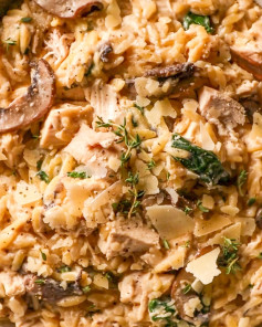 Creamy Lemon Chicken Orzo Delight