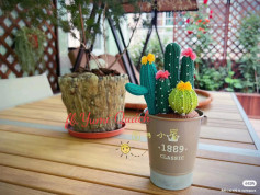 Crochet Cactus Garden: A Colorful Indoor Decor Idea