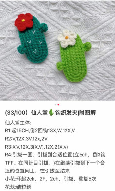 Crochet Cactus Hair Clip Pattern with Flower Detail