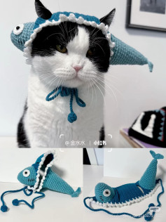 Crochet Fish Hat for Cats: Cute and Fun DIY Project