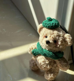 Crochet Pattern for Cute Teddy Bear with Green Accessories