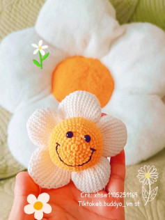 Crochet Smiley Flower Pattern for Beginners - Easy and Fun!