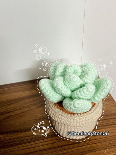 Crochet Succulent in Pot: A Cozy Decor Pattern