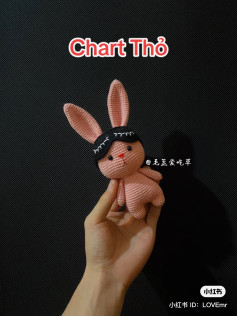 Cute Bunny Crochet Pattern for Beginners and Experts