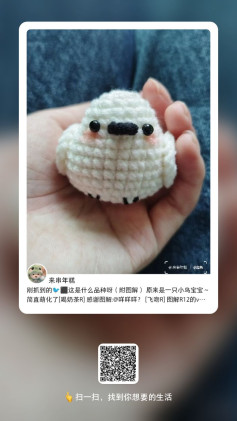 Cute Crochet Bird Pattern for Beginners to Craft