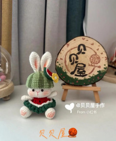 Cute Crochet Bunny with Watermelon Outfit Amigurumi Pattern