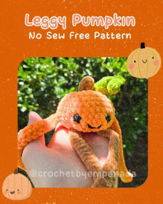 Cute Leggy Pumpkin Free Crochet Pattern Without Sewing