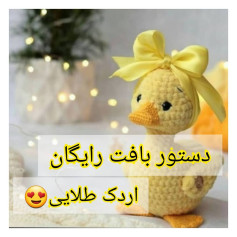 دستور بافت رایگان اردک طلایی