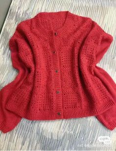 Elegant Crochet Cardigan with Intricate Patterns