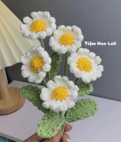 Hoa cúc móc len: Sự tinh tế trong từng chi tiết