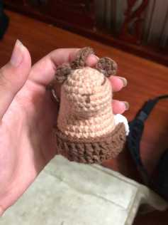 Hướng dẫn móc len thú bông đáng yêu cho người mới bắt đầu