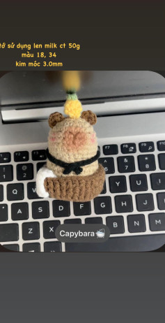 Hướng dẫn móc thú bông Capybara dễ thương từ len sữa