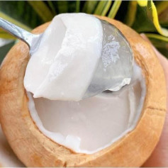 Thạch Rau Câu Dừa Xiêm Thanh Mát Giải Nhiệt Mùa Hè