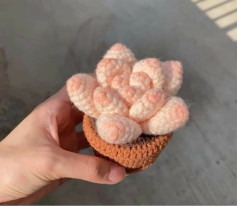 Chart móc len chậu sen đá dễ thương và sáng tạo