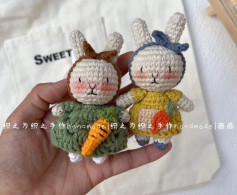 Cute Crochet Bunnies with Carrot Accessories Pattern