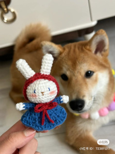 Cute Crochet Bunny Doll with Shiba Inu Background