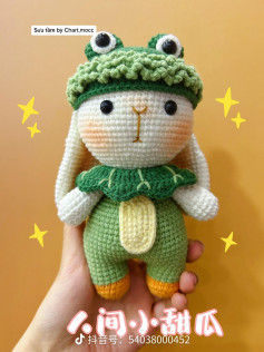 Cute Crocheted Bunny in Frog Outfit Amigurumi Pattern