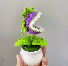 Hướng dẫn móc cây ăn thịt màu tím sống động và thú vị