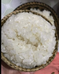 Xôi Dẻo Tưới Cốt Dừa – Bí Quyết Nhanh Gọn