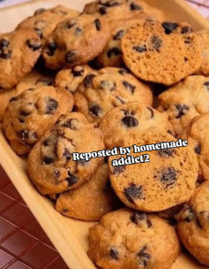 Classic Chewy Chocolate Chip Delight